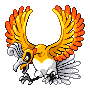 ho oh