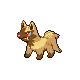 poochyena