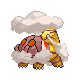 torkoal