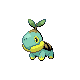 turtwig