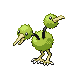 doduo