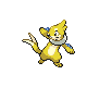 buizel