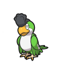 squawkabilly green-plumage