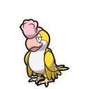 squawkabilly yellow-plumage