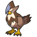 staraptor