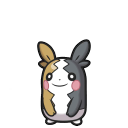 morpeko full-belly