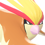pidgeot sprite 96