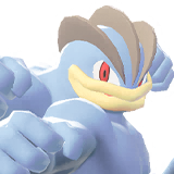 machamp sprite 96