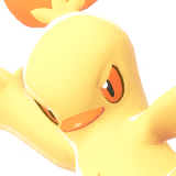 combusken sprite 72