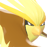 pidgeot sprite 95