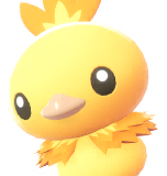 torchic sprite 71