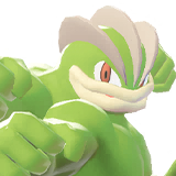 machamp sprite 95