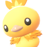 torchic sprite 74