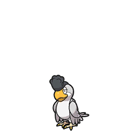 squawkabilly white-plumage