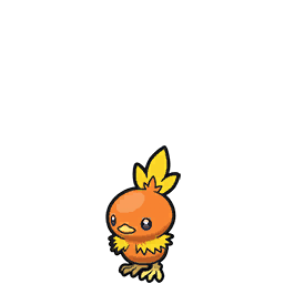 torchic