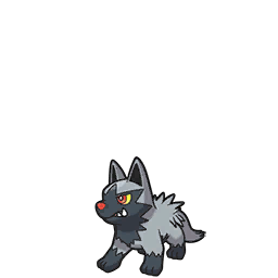 poochyena