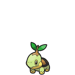 turtwig