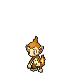 chimchar