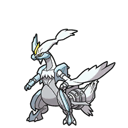 kyurem white