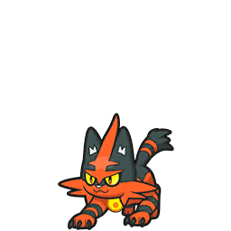 torracat