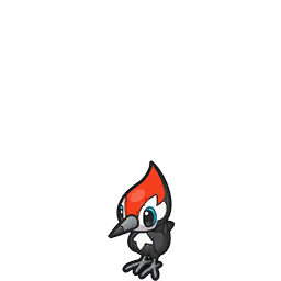 pikipek