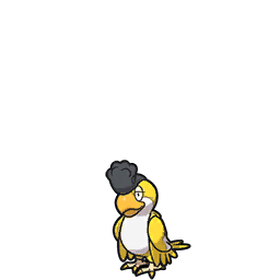 squawkabilly yellow-plumage