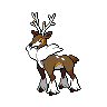 /pokemon/586?variety=sawsbuck-winter