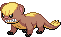 Sprite animada de Yungoos (Black White)