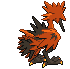 animated_back