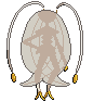 animated_back