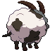 animated_back