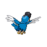 Sprite traseira de Squawkabilly (Black White)