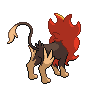 pyroar male