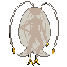 pheromosa