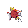 magikarp