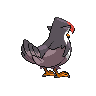 staraptor