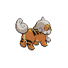 growlithe hisui