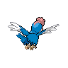 Sprite shiny traseira de Squawkabilly (Black White)