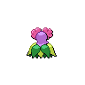 bellossom