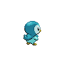 piplup