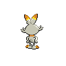 scorbunny