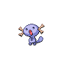 wooper paldea