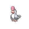 squawkabilly white-plumage