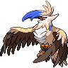 Sprite shiny de Staraptor (Black White)
