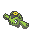 cacnea