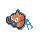rotom wash