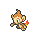 chimchar