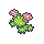 maractus