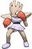 hitmonchan sprite 102