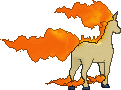 rapidash sprite 96